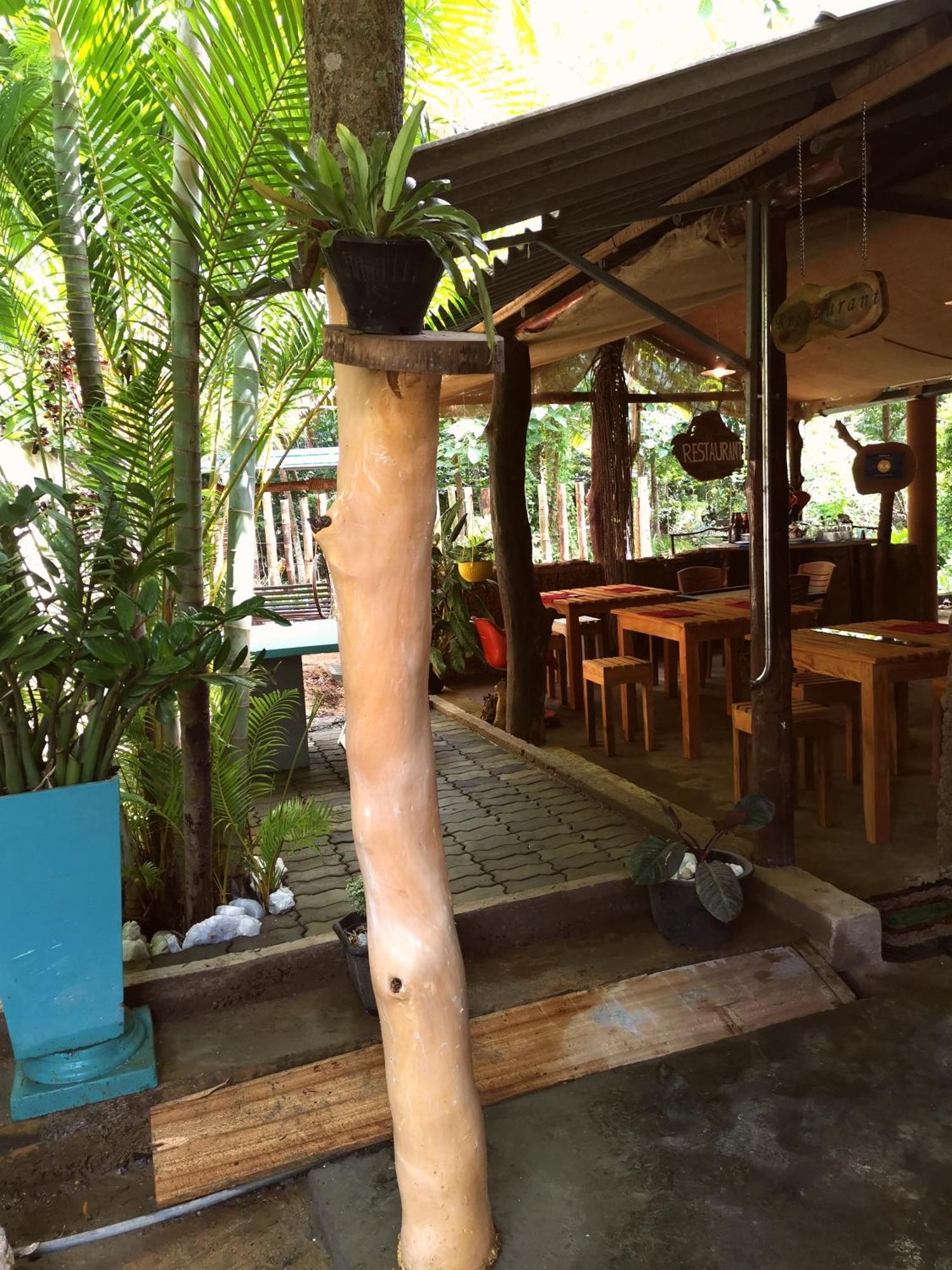 אודוואלאווה Peacock'S Paradise Safari Hostel מראה חיצוני תמונה